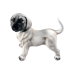 Boxer Лабрадор