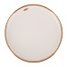 Тарелка "Royal line. Mint" 25,5*25,5*3см. (min4) (транспортная упаковка)