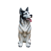 Boxer Фигурка Хаски