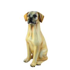 Boxer Лабрадор