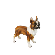 Boxer Бостонский терьер
