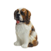 Boxer Сенбернар